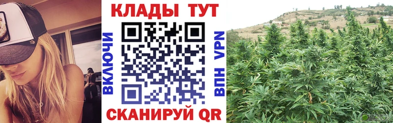 Купить наркотик аптеки Мичуринск ГАШИШ  Бошки Шишки  АМФЕТАМИН  МЕФ  Кетамин  Альфа ПВП 