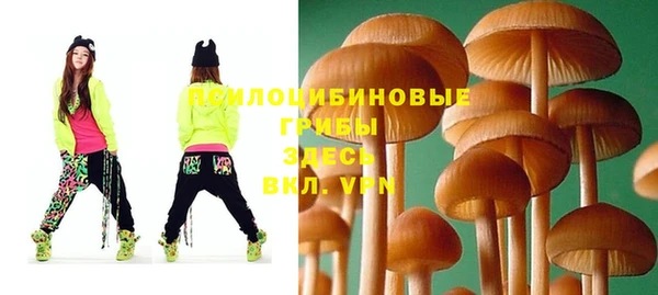 ешки Бикин