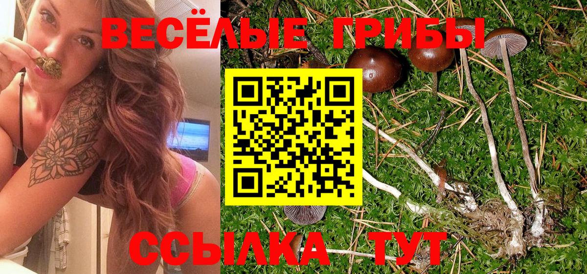 Псилоцибиновые грибы GOLDEN TEACHER Мичуринск