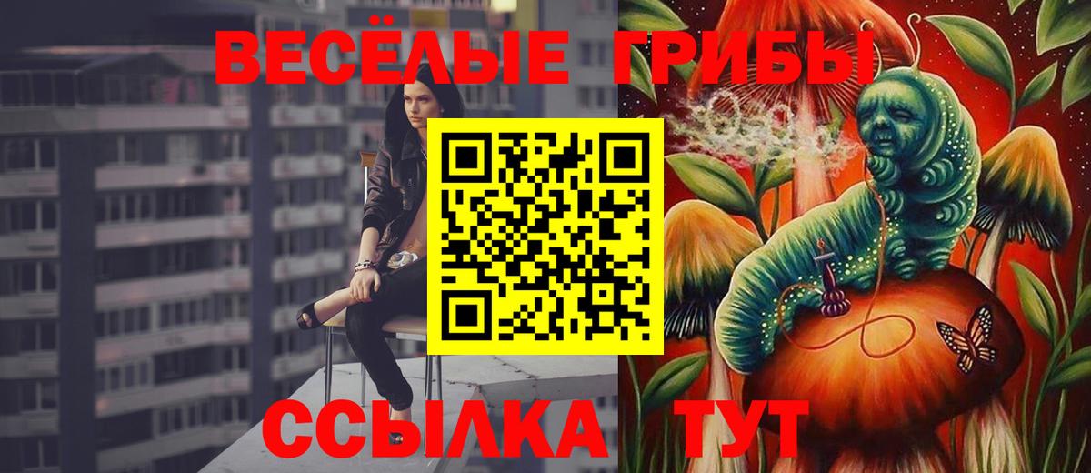 Псилоцибиновые грибы Cubensis  наркотики  Мичуринск 