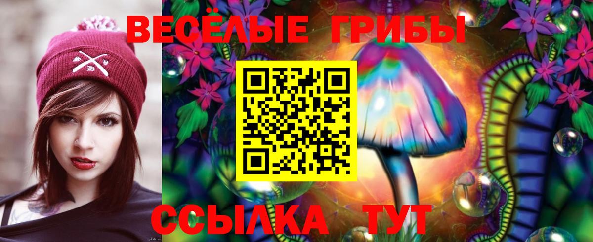 Псилоцибиновые грибы ЛСД  наркошоп  Псилоцибиновые грибы Psilocybine cubensis  Мичуринск  Вход с VPN 