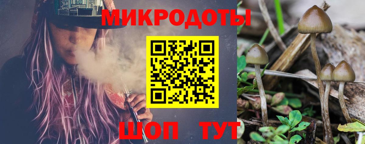 Alpha-PVP  НБОМе  Кокаин  Molly  MDMA  Мяу-Мяу  Вход с VPN  ГАШ  Мичуринск  Марихуана 